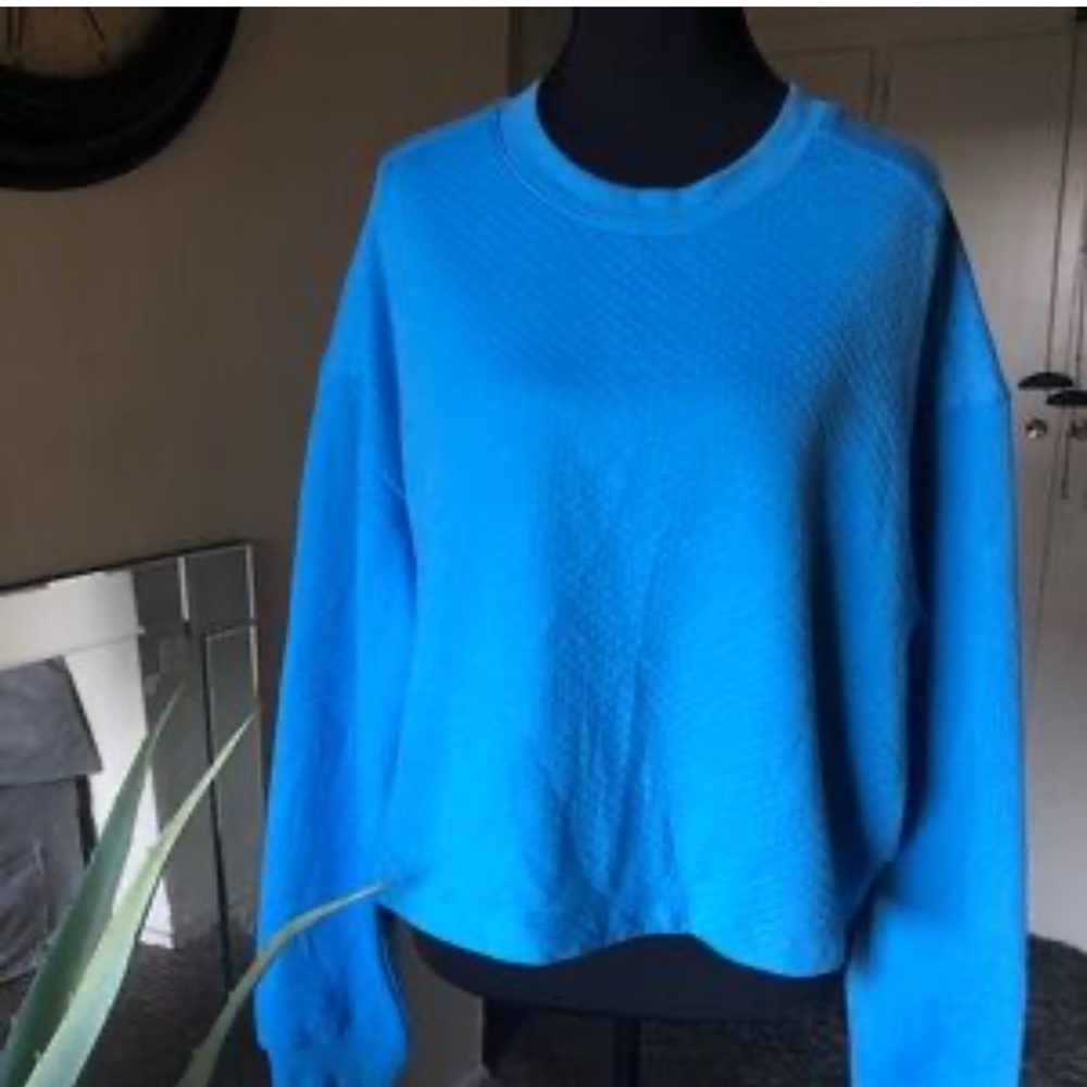 Blue Women's Sweater Colsie XL